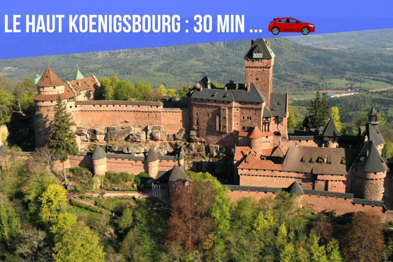 Le Red St Leon : Lit Queen Size * Wifi * Ideal Couple Кольмар Екстер'єр фото